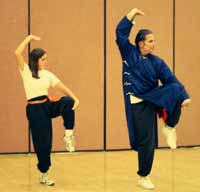 Tai Chi Youth is traditional Tai Chi