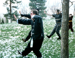White Sashes are for all beginner Tai Chi and Kung Fu students.