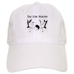Tai Chi Youth presents Taiji Seniors