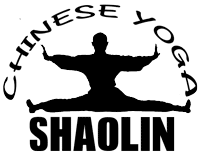 Chinese Yoga by Buddha Zhen