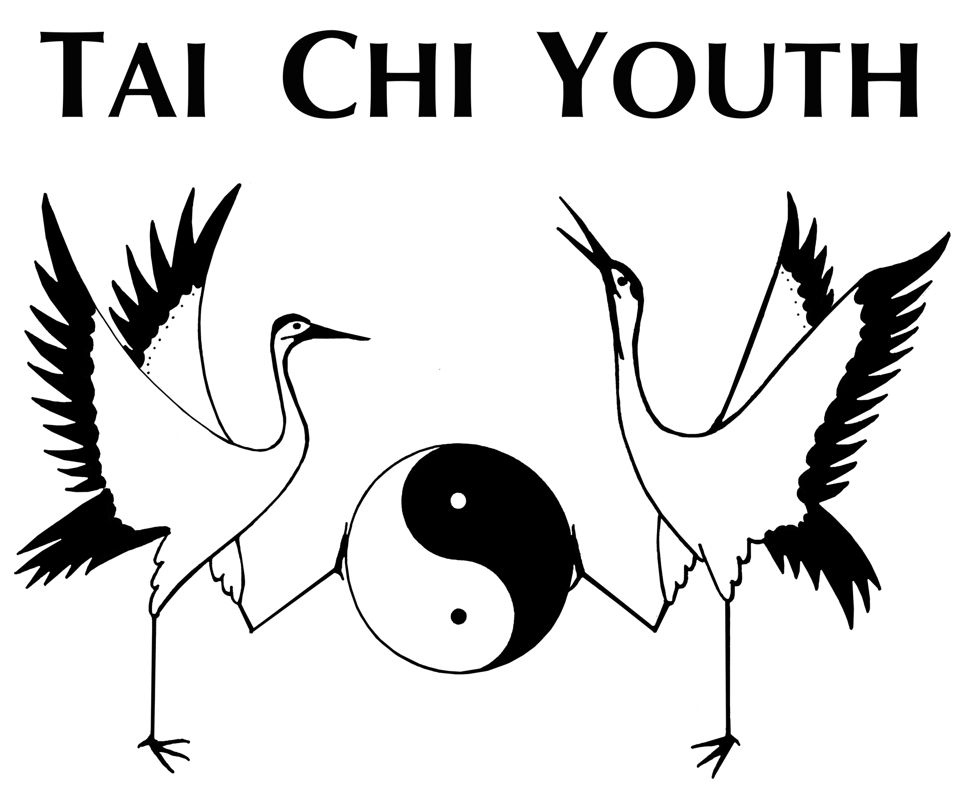 Tai Chi Youth logo