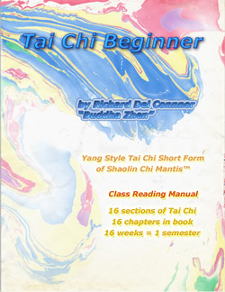 Tai Chi Youth presents Taiji Seniors