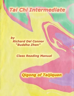 Book Cover of Tai Chi Intermediate by Buddha Z